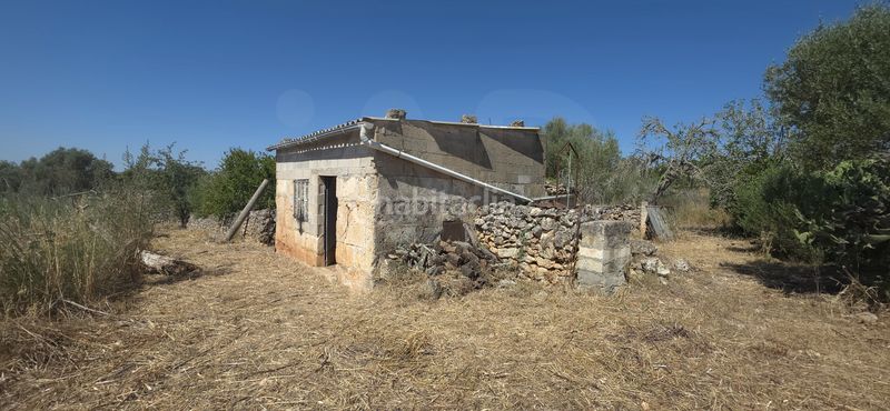 Foto 25ec1678-e924-4d11-a9e5-20b02985fa29. Finca rústica a Santa Margalida poble Santa Margalida