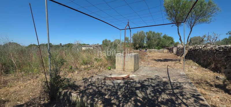 Foto 2f94d1a9-cb1a-48ea-9a13-be7e2971eda5. Finca rústica a Santa Margalida poble Santa Margalida