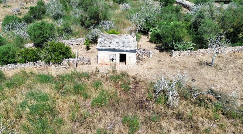 Foto 2fcb2805-5339-43e3-80df-55254da3cabf. Finca rústica a Santa Margalida poble Santa Margalida