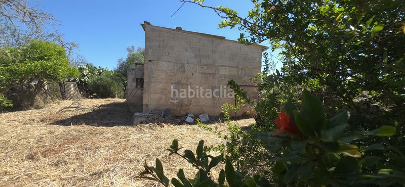 Foto 496762b1-a535-4f21-a661-0bc3eb1fde38. Finca rústica a Santa Margalida poble Santa Margalida
