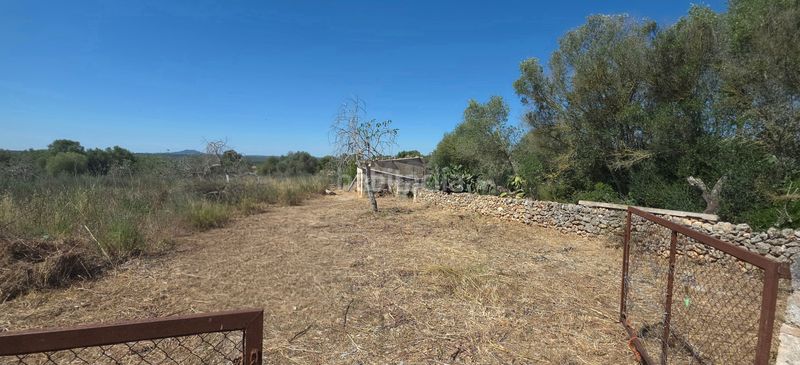 Foto 4ee0a693-7573-4d97-8af4-055005324d88. Finca rústica a Santa Margalida poble Santa Margalida