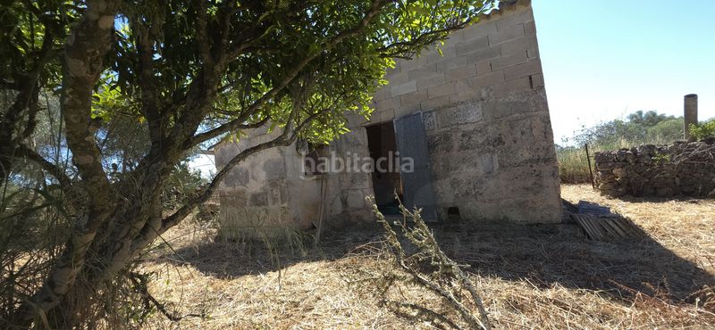 Foto 5914eaf8-7e0a-47fc-b35a-c71650577915. Finca rústica a Santa Margalida poble Santa Margalida
