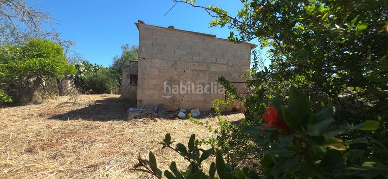 Foto 5eabbedb-7882-4f74-8ee5-d99f14358e71. Finca rústica a Santa Margalida poble Santa Margalida