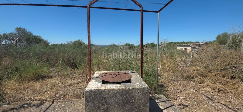 Foto 6abbbe77-44ab-418b-8361-f968bb3ab693. Finca rústica a Santa Margalida poble Santa Margalida