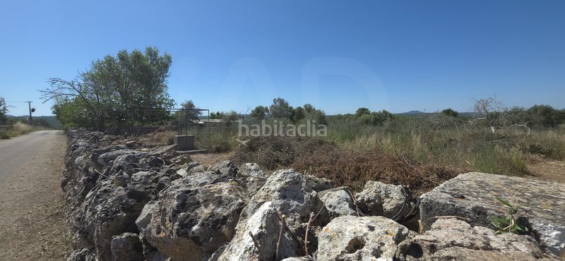 Foto 79437870-c8a5-4dd6-aea3-f9e09b77b3d8. Finca rústica a Santa Margalida poble Santa Margalida