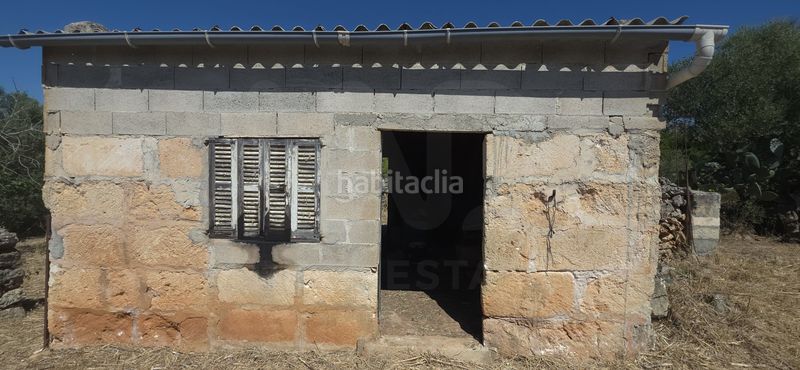 Foto 83942573-881a-42af-ae7b-36ce57e56315. Finca rústica a Santa Margalida poble Santa Margalida