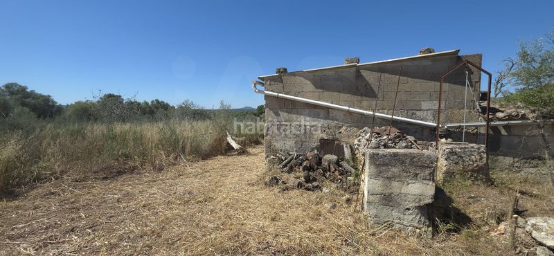 Foto 8712397d-ee73-4772-a097-90666570087c. Finca rústica a Santa Margalida poble Santa Margalida