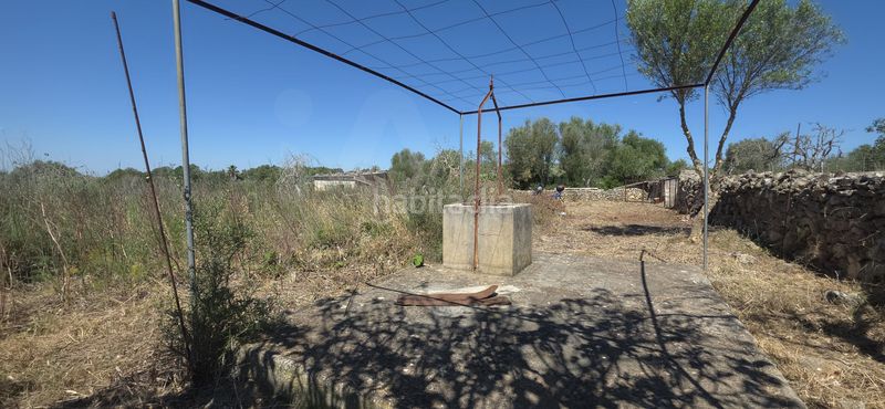 Foto 88b1d17f-f31c-42b7-8e6b-e8a53a700a22. Finca rústica a Santa Margalida poble Santa Margalida
