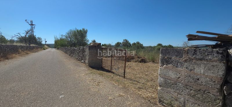 Foto abd16738-b140-4234-baa5-508724951e3d. Finca rústica a Santa Margalida poble Santa Margalida