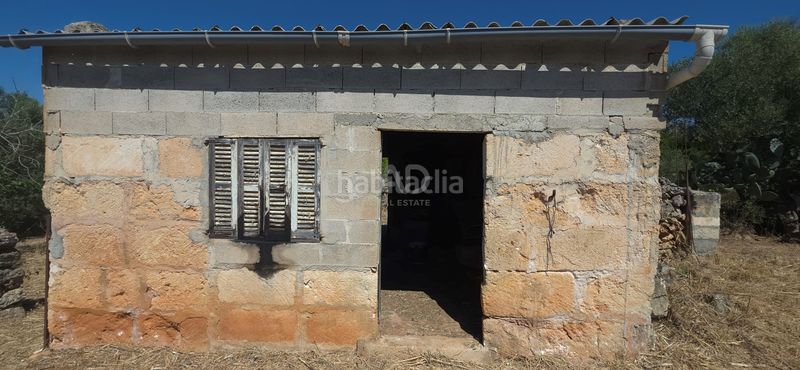 Foto bbad7b5c-71d0-4fd5-9624-7af1e1b0f462. Finca rústica a Santa Margalida poble Santa Margalida