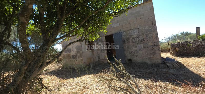 Foto c02fe24f-5e33-4478-84e0-a6f70edec59f. Finca rústica a Santa Margalida poble Santa Margalida