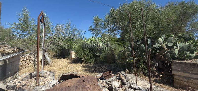 Foto c0b4ad3a-febd-414a-a6c2-90aa89626fee. Finca rústica a Santa Margalida poble Santa Margalida