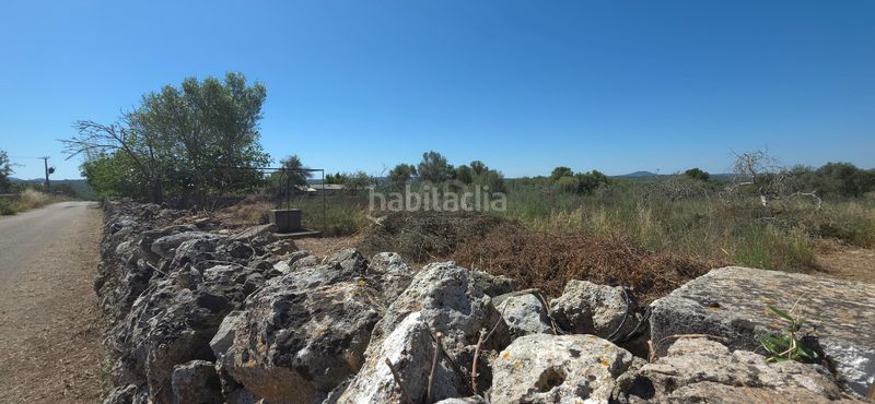 Foto cc6a8678-6cf5-4eac-b351-6ad390b413b2. Finca rústica a Santa Margalida poble Santa Margalida