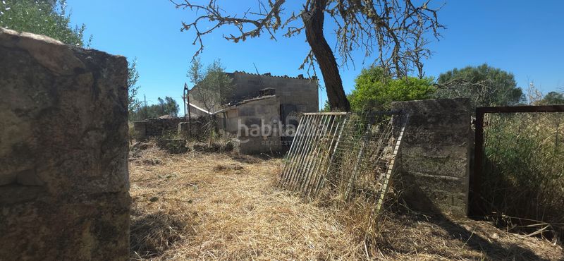 Foto cfcfb7cf-542f-4650-aa91-fc047c2c77a6. Finca rústica a Santa Margalida poble Santa Margalida