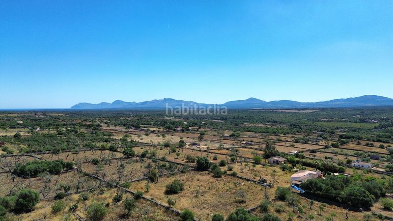 Foto d10f383c-a27d-4d73-bd4c-6815ccf4b5bf. Finca rústica a Santa Margalida poble Santa Margalida