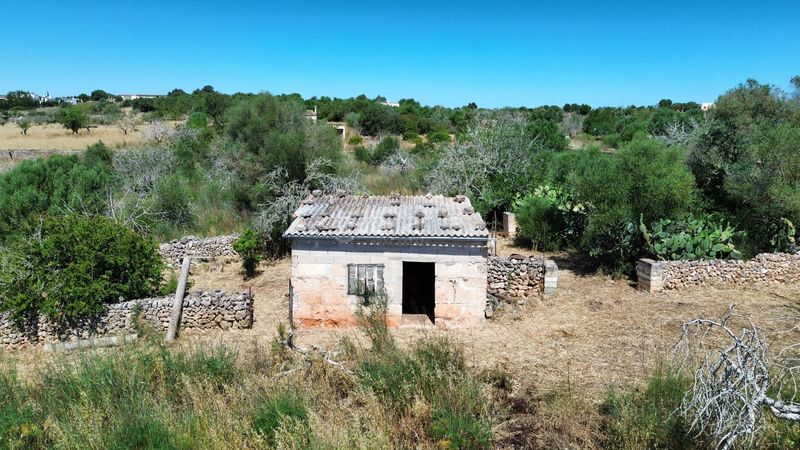 Foto d78fd89d-43fb-47fa-b4a0-d8b34feb96e9. Finca rústica a Santa Margalida poble Santa Margalida