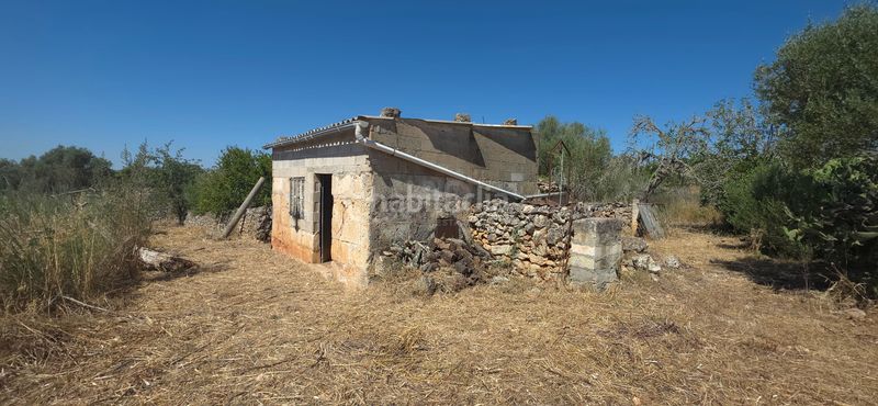Foto d8cff1bb-5d19-4fde-b4c0-6eb865b4bf00. Finca rústica a Santa Margalida poble Santa Margalida