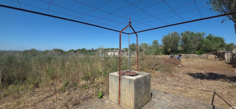Foto e3a949a7-c401-4a29-a74a-0e4b3359d74f. Finca rústica a Santa Margalida poble Santa Margalida