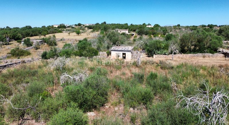 Foto e4e917c8-40e7-428e-9a69-c360e2f41aeb. Finca rústica a Santa Margalida poble Santa Margalida