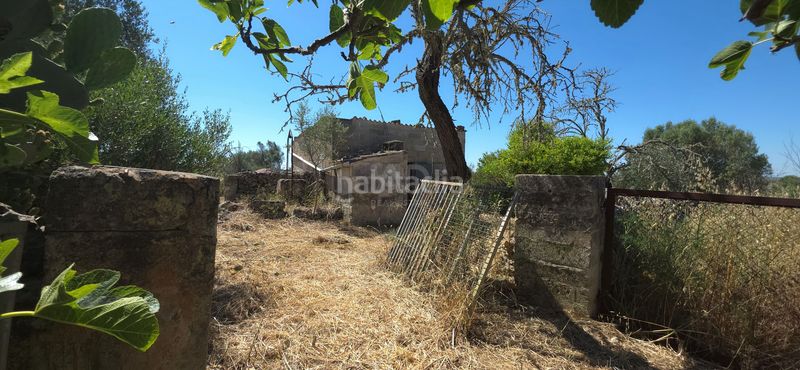 Foto fa9f7500-c567-439e-9a6f-d794b40b2dae. Finca rústica a Santa Margalida poble Santa Margalida