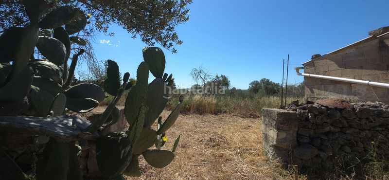 Foto ff3ef2b0-44f7-4222-83b7-1c46ffa03f6d. Finca rústica a Santa Margalida poble Santa Margalida