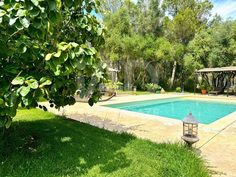 Foto 72a0f61f-410f-4fcc-a9bd-92829f6962b9. Xalet amb calefacció piscina a Sencelles