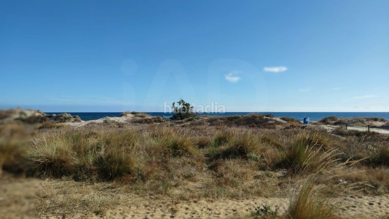 Foto 3fdedffd-ff0c-46f8-9f7c-213dbb60a61e. Xalet amb calefacció a Oliva nova Oliva