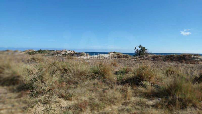 Foto a6232582-7656-4f2a-a3b6-79915fd0c55b. Xalet amb calefacció a Oliva nova Oliva