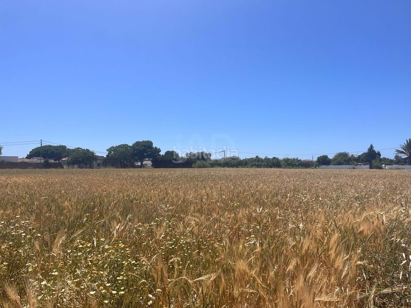 Foto 16f3d00d-d22e-4097-b032-d21bfa21382f. Finca rústica a El Palmar Vejer de la Frontera