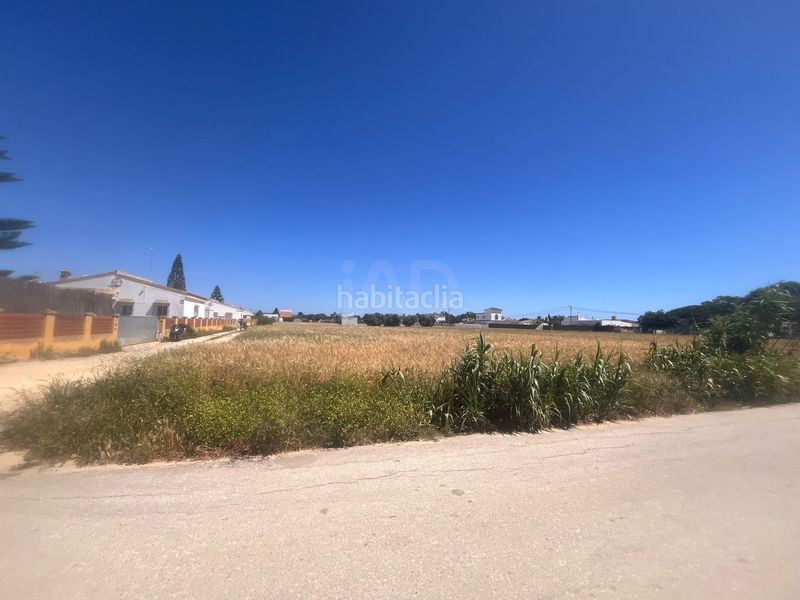 Foto 743a3791-a52f-4129-995c-0c0a97ade85e. Finca rústica a El Palmar Vejer de la Frontera