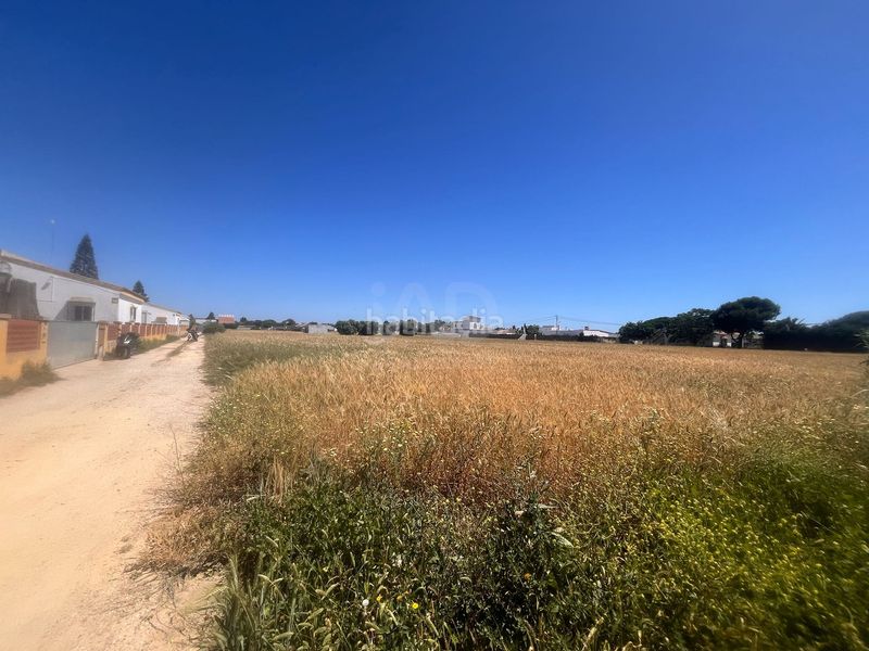 Foto 86800b18-0474-406f-bfcf-454a6c8f5bda. Finca rústica a El Palmar Vejer de la Frontera