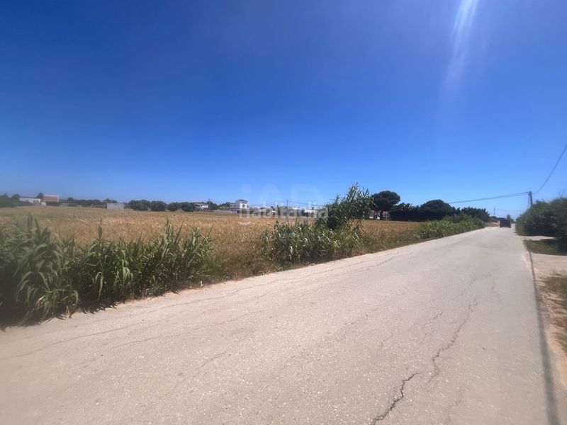 Foto b5281b99-728e-4ce6-a3df-e274eeeff6b7. Finca rústica a El Palmar Vejer de la Frontera