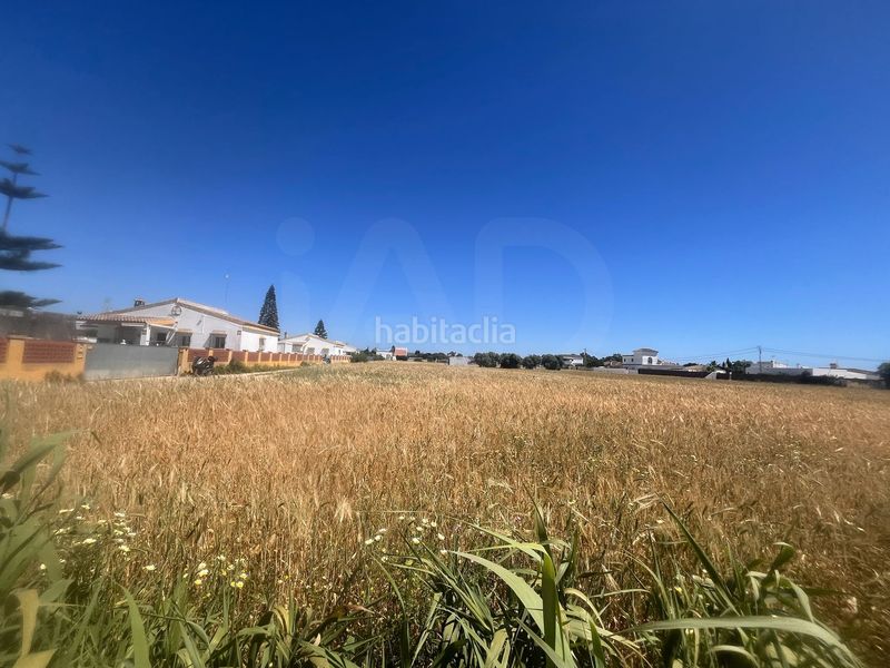 Foto b89269c9-b37d-4a3b-9bf2-8dabb149e475. Finca rústica a El Palmar Vejer de la Frontera
