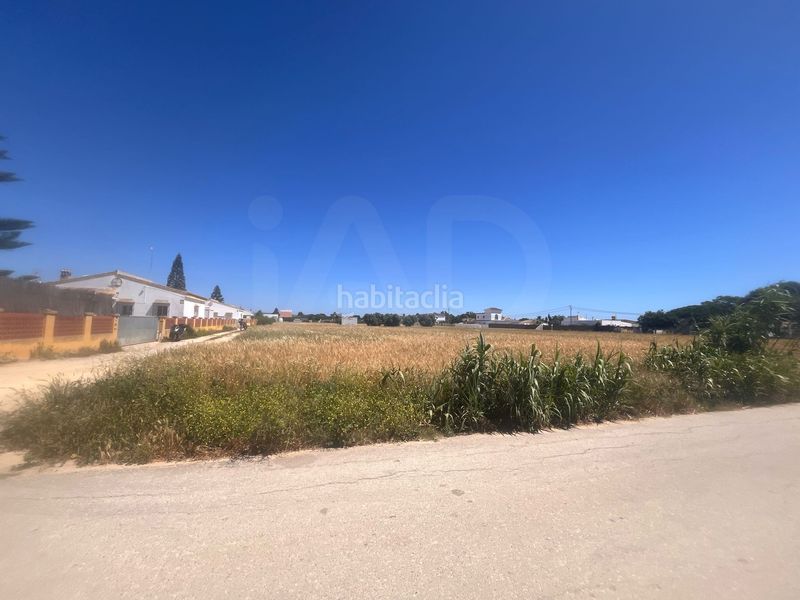 Foto ce6d5be7-3b02-4f5b-a936-eed1813e963e. Finca rústica a El Palmar Vejer de la Frontera