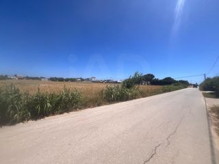 Fondo rustico in El Palmar