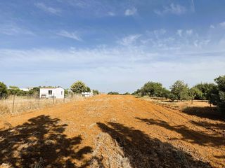 Landgut in Ds pago melilla 657 suelo polígono 16 parcela 657