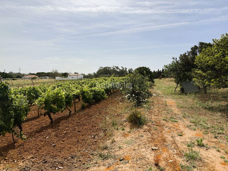 Foto 6d943fdd-3f37-4c05-8d01-e2456ec63403. Finca rústica a Las Lagunas - Campano Chiclana de la Frontera