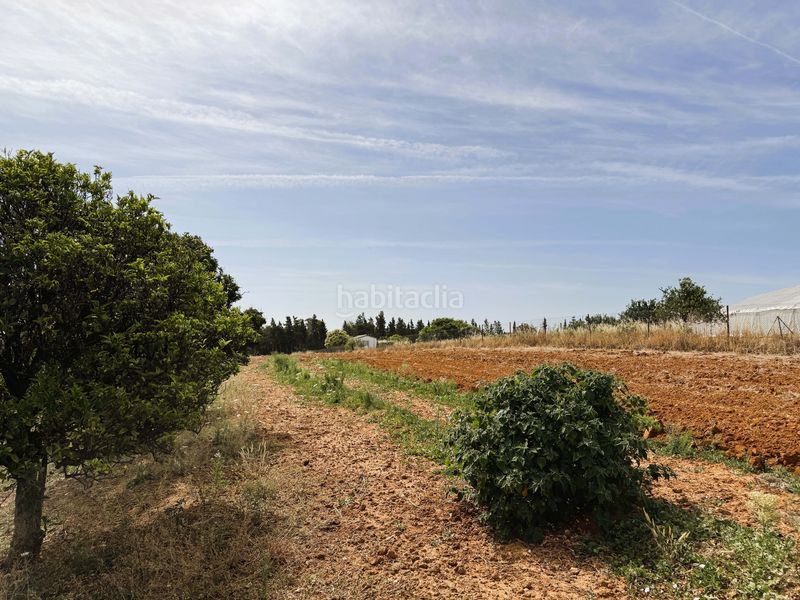 Foto e91fb482-e68b-4eed-8389-504320cc0c10. Finca rústica a Las Lagunas - Campano Chiclana de la Frontera
