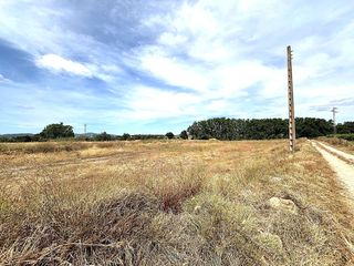 Fondo rustico in Banyeres del Penedès