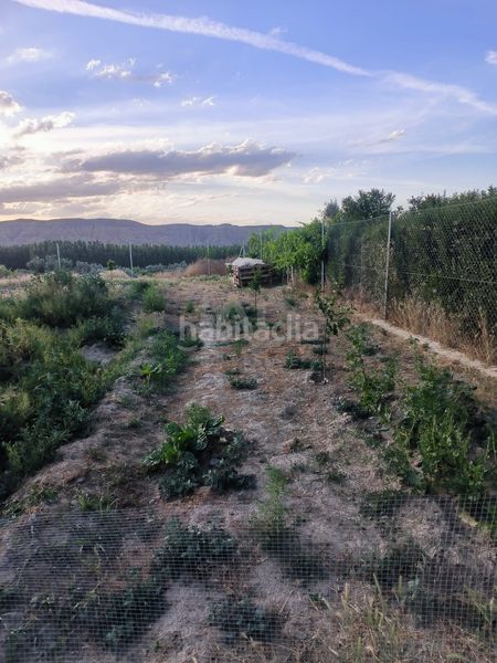 Foto ef634401-a6eb-4945-8dee-ca928328889b. Finca rústica a Purullena