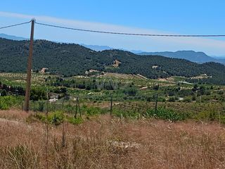 Rural plot in Zarzadilla de Totana