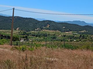 Rural plot in Zarzadilla de Totana