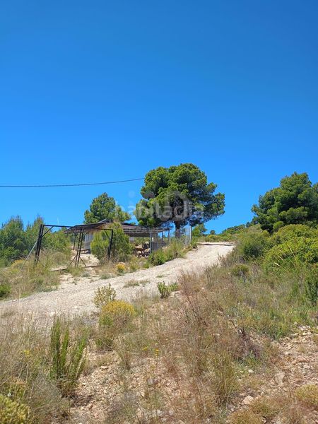 Foto 0ff56712-d0d1-4ffb-a2ea-563f3ed6d059. Finca rústica a Zarzadilla de Totana Lorca