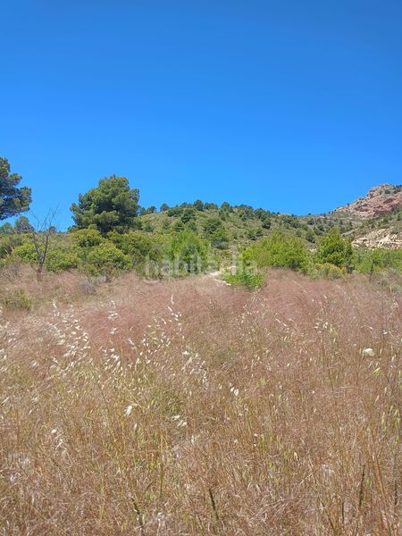 Foto 1a268f9a-aee8-4c57-bfea-0d885737dbd3. Finca rústica a Zarzadilla de Totana Lorca