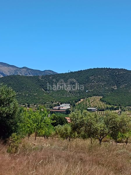 Foto 2d284a4d-e6b1-4865-92cd-f0d135fc5905. Finca rústica a Zarzadilla de Totana Lorca