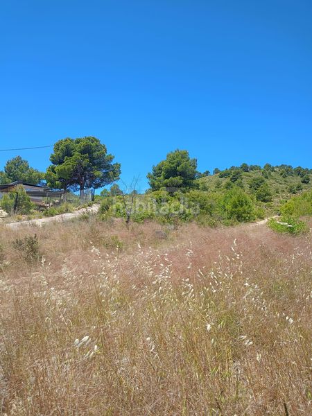 Foto 3ff58253-2b66-436a-bd6e-20d15e9d42c9. Finca rústica a Zarzadilla de Totana Lorca