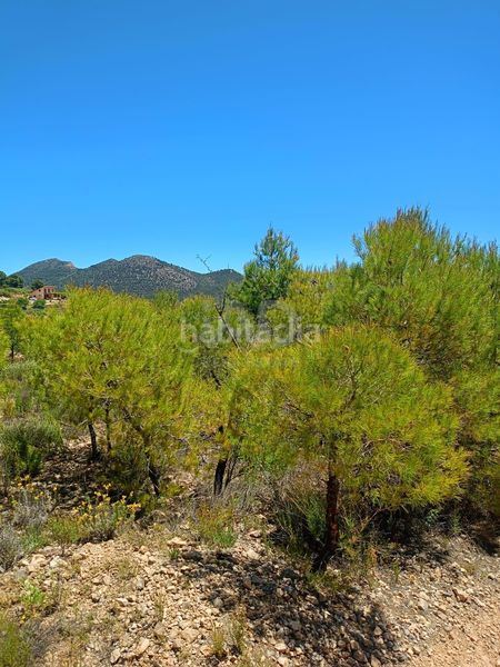 Foto 48da714b-1190-432a-addd-27a2f85e9ba3. Finca rústica a Zarzadilla de Totana Lorca