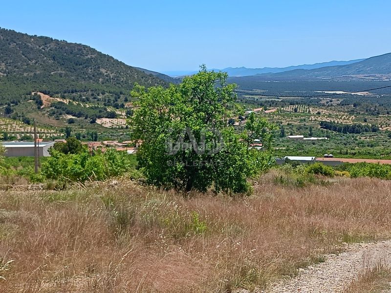 Foto 8fe0cb85-79d7-46a7-9a96-c58f33723931. Finca rústica a Zarzadilla de Totana Lorca