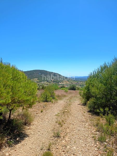Foto 18c68479-10d6-429b-b69d-fbed6798bb37. Finca rústica en Zarzadilla de Totana Lorca