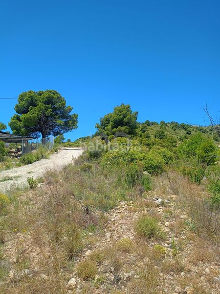 Foto 88382867-2309-4595-810d-e3b9fbfbea12. Finca rústica en Zarzadilla de Totana Lorca